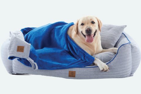 pet_beds